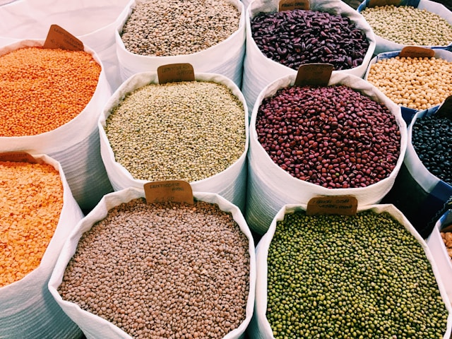 grain-1